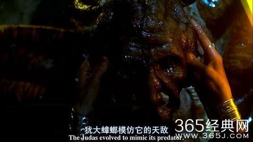 撕裂人2 在线观看,血战再启,在线惊悚盛宴 第2张 撕裂人2 在线观看,血战再启,在线惊悚盛宴 第2张