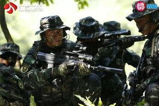 利刃出击在线观看 第2张 利刃出击在线观看 第2张